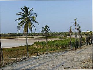 cidade de Manibu