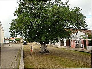 cidade de Mutambeiras