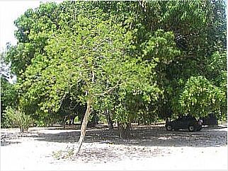 cidade de Pindoretama