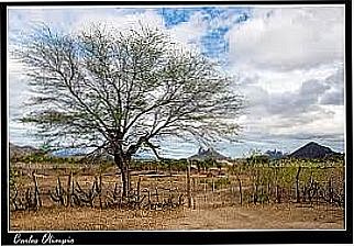 cidade de S�o Joaquim