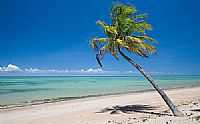São Miguel dos Milagres - Praia em São Miguel dos Milagres - AL