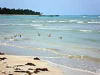 São Miguel dos Milagres - Praia do Marcineiro em São Miguel dos Milagres-Foto:Arthur Ciarah