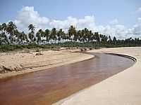 São Miguel dos Milagres - Riacho em São Miguel dos Milagres-Foto:Arthur Ciarah