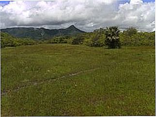 cidade de Timonha