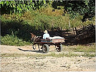 cidade de Tipi