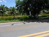 Satuba - Rodovia e Açude em Satuba-Foto:Cipriano Barboza Sil…