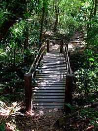 Ubajara - Ponte da Trilha no Parque Nacional de Ubajara -Foto:S. F. da Costa