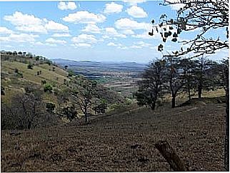 cidade de Serra da Mandioca