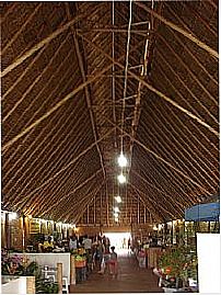 Feira do Produtor em Lago Norte-Foto:Revoredo