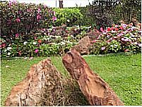 Jardim em Lago Norte-Foto:Calixto R. Pires