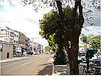 Av.Central-Foto:Daniel Souza Lima 