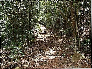 cidade de Alto Caldeir�o