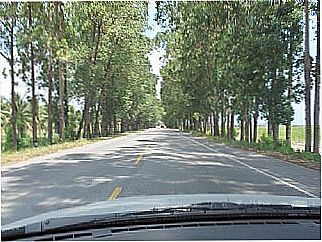cidade de Teot�nio Vilela