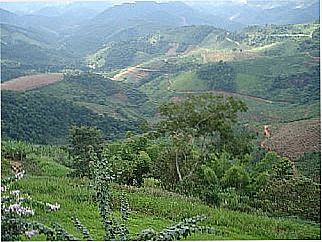 cidade de Isabel