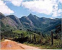 Laranja da Terra