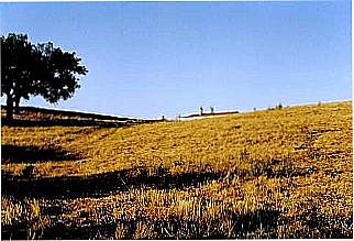cidade de Monte Pio