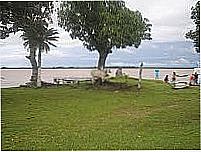 Imagem-Foto:picasaweb.google.comjpg