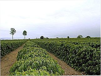 cidade de S�o Jo�o do Sobrado