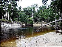 Balne�rio do Barreto-Foto:Maur�cio Leonardi
