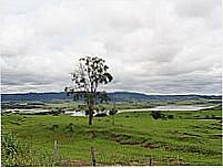 Lago Corumbá em Água Limpa-Foto:Daniel Souza Lima