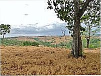 Paisagem da região de Água Limpa-Foto:reginaldomoronte