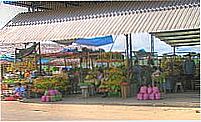 Feira em Benjamin Constant-Foto:Dersou1