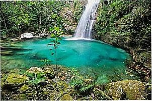 Chapada dos Viadeiros
Foto carlosdaris