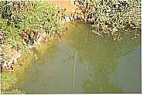 Lagoa-Foto:Cleber Duarte de Lim� 