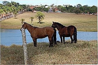 cidade de Avelin�polis