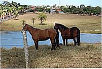 O paraiso � aqui-FotoJuscelino bati:sta st�