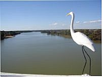 Vista do Mirante da Cidade, Por RONALD �ZIO