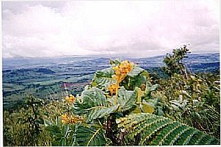 cidade de Castrin�polis