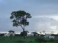 Chapadão do Céu - Fim de tarde na fazenda-Foto:Luciana Amaral
