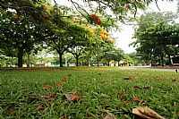 Goiânia - Goiânia-GO-Praça central-Foto:Joventino Neto