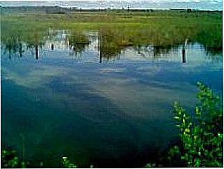 cidade de Gouvel�ndia