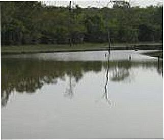 cidade de Novo Planalto