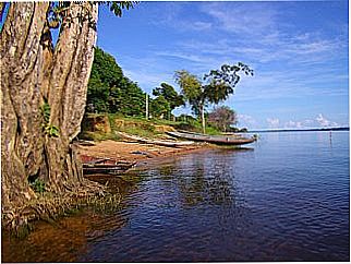 cidade de Freguesia do Andir�