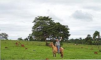 cidade de Turv�nia