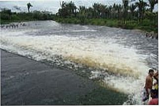 cidade de Alto Alegre do Maranh�o