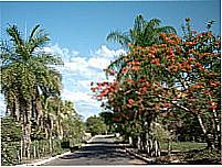 Rua "alameda" Cel. Samuel Brito foto
Dhiancarlos Pacheco