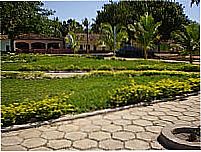 Alto Parna�ba foto
Patricia Skura
