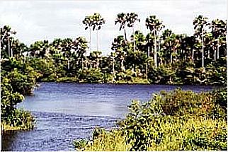 cidade de Bacabeira