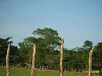 Barão de Grajaú - Localidade de Caboré em Barão de Grajaú-MA-Foto:PEDRO PAULO