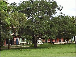 cidade de Bar�o de Tromai