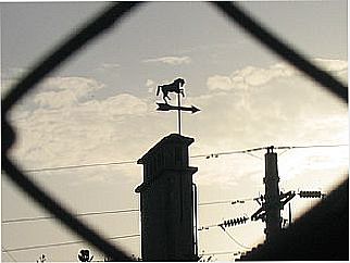 cidade de Alaz�o
