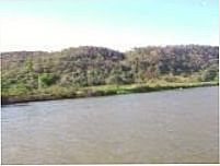Rio de benedito leite, Por Fernando
