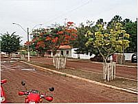 Avenida-Foto:Moisés Serra
