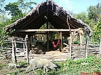 Brejo - Casa de Farinha no Sítio Boca da Mata em Brejo-MA-Foto:Hipólito