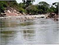 Rio Munim Seco, Por WELITON RODRIGUES (RIO DE JANEIRO)
