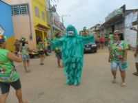 Carutapera - Carnaval em Carutapera-bloco dos Bichos Folharais, Por Alda Magalhães